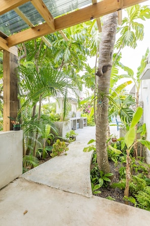 Property grounds - Lush Home-Esperanza-Salt Pool- close to Beach (Esperanza)