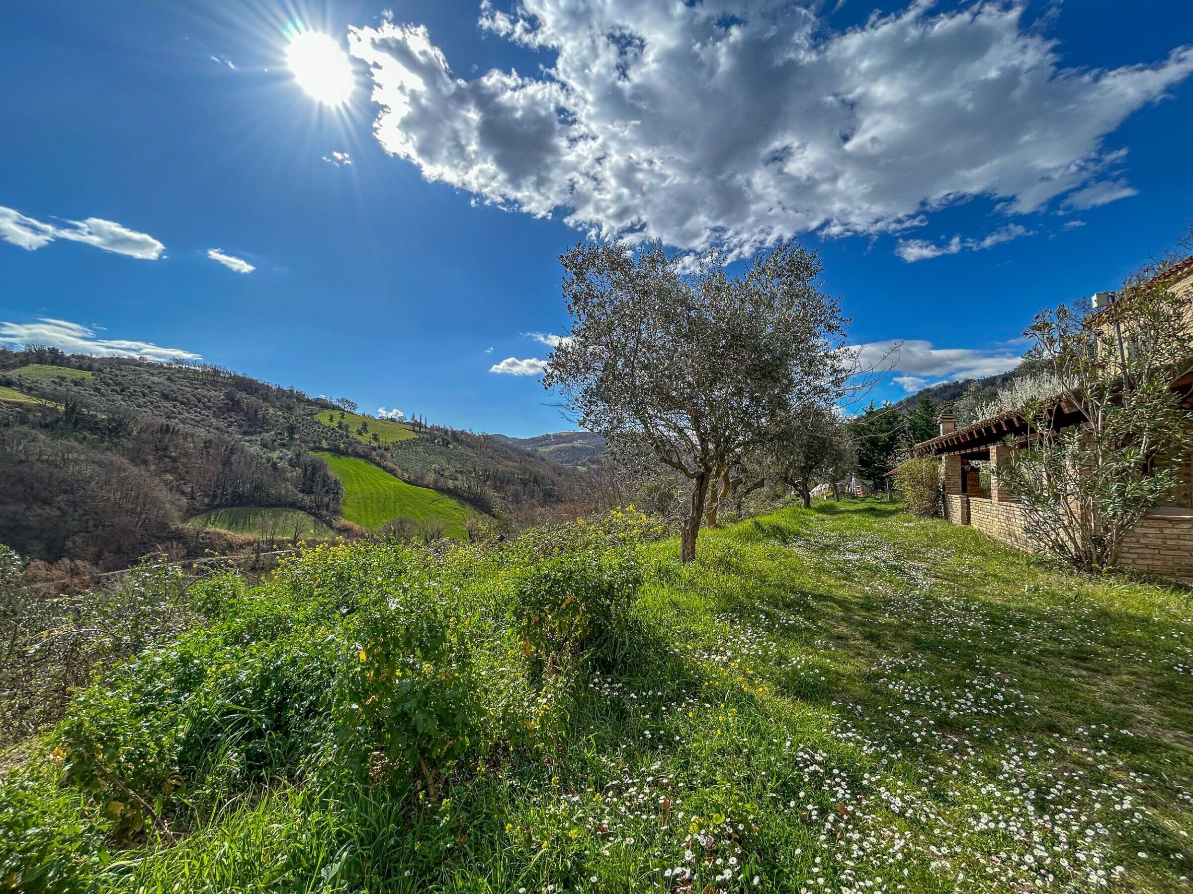 Terrein van de accommodatie