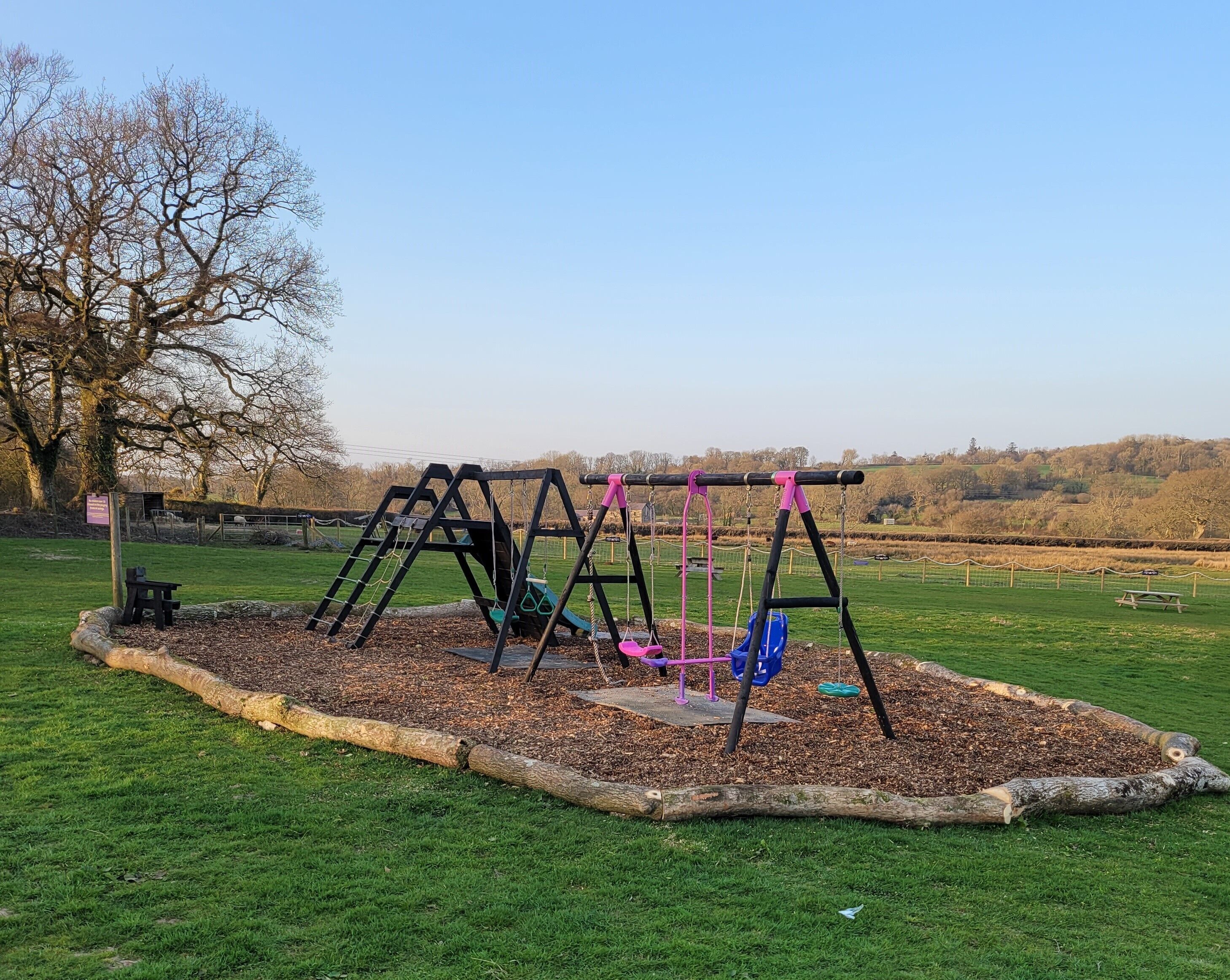 A playground with swings and a slide, surrounded by a grassy area and a tree.