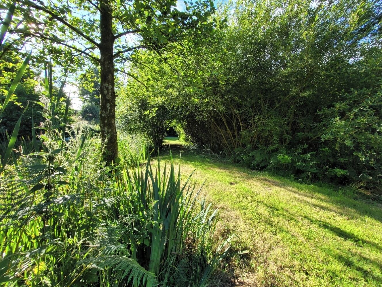 A lush garden with a variety of plants and trees, a clear path, and a small structure in the background.