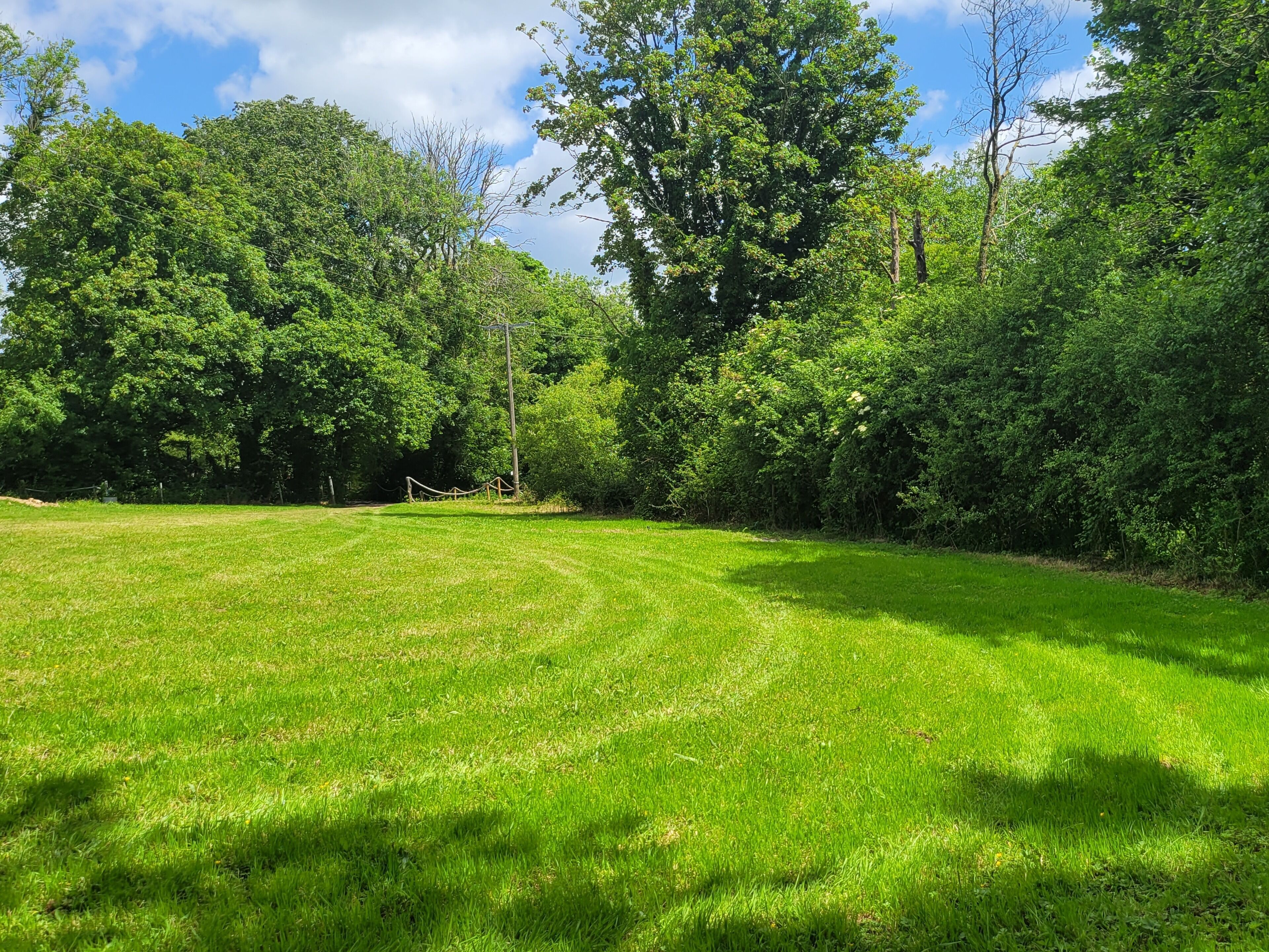 A grassy field with trees and a wooden fence.