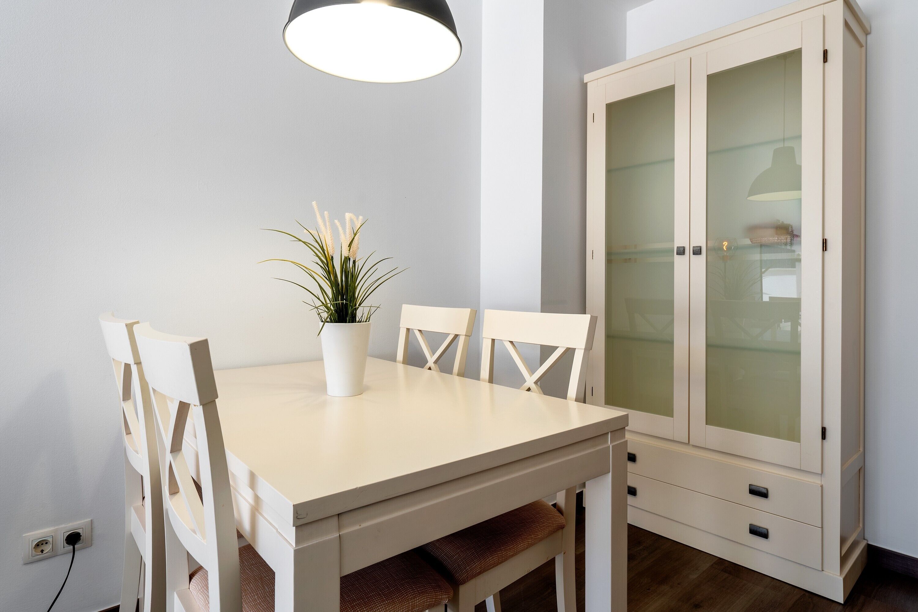 A dining table with chairs, a potted plant, and a cabinet with glass doors.