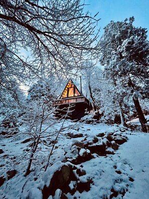 Property grounds - Hot Tub, Secluded A-Frame, Fire place (Lake Arrowhead)