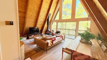 Smart TV, lareira, livros, biblioteca musical