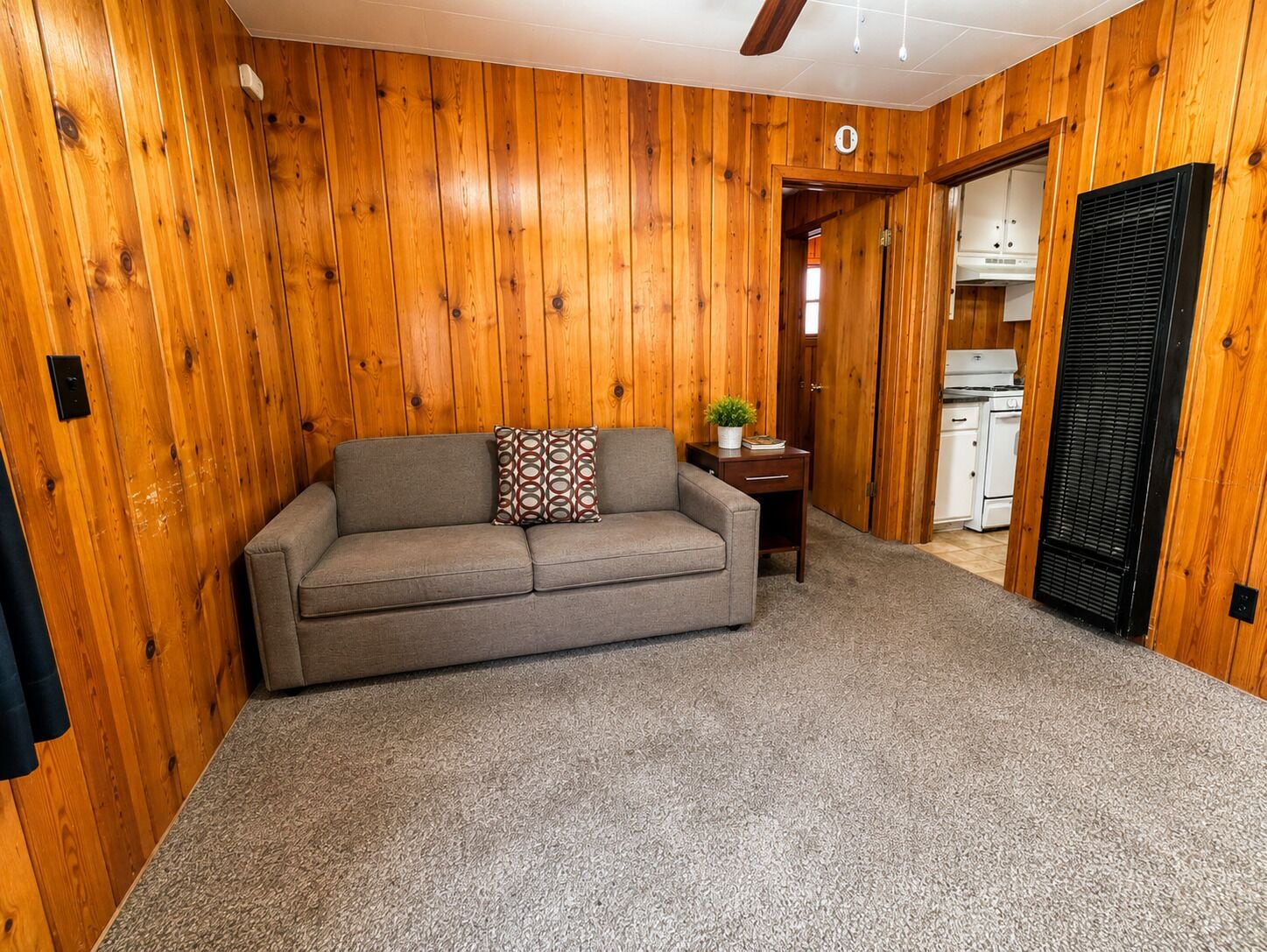 Una habitación con pared revestida de madera, un sofá gris con un cojín estampado, una mesita con una planta y un área de cocina visible a través de una puerta abierta.