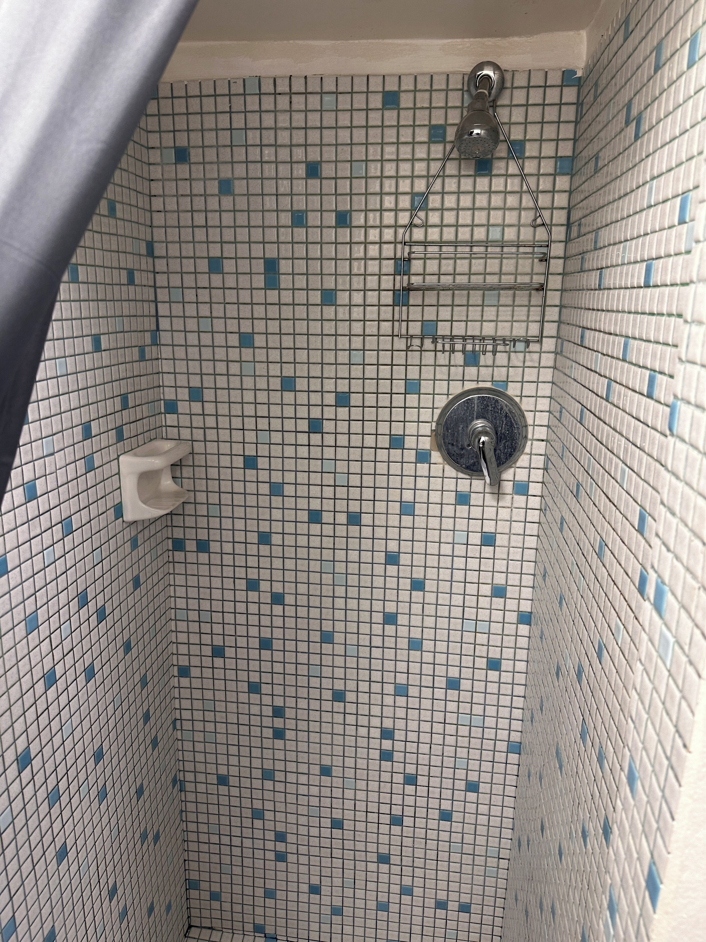 A tiled shower area with a showerhead and a handrail.