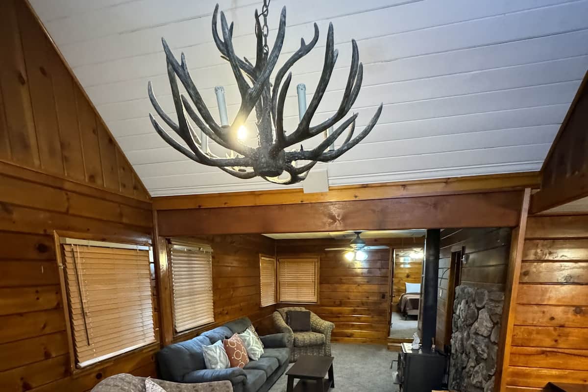 L’intérieur d’un chalet confortable, avec un grand lustre, un canapé, un fauteuil et une cheminée.