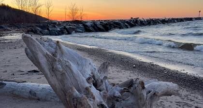 Cozy Corner Home Dogs Welcome