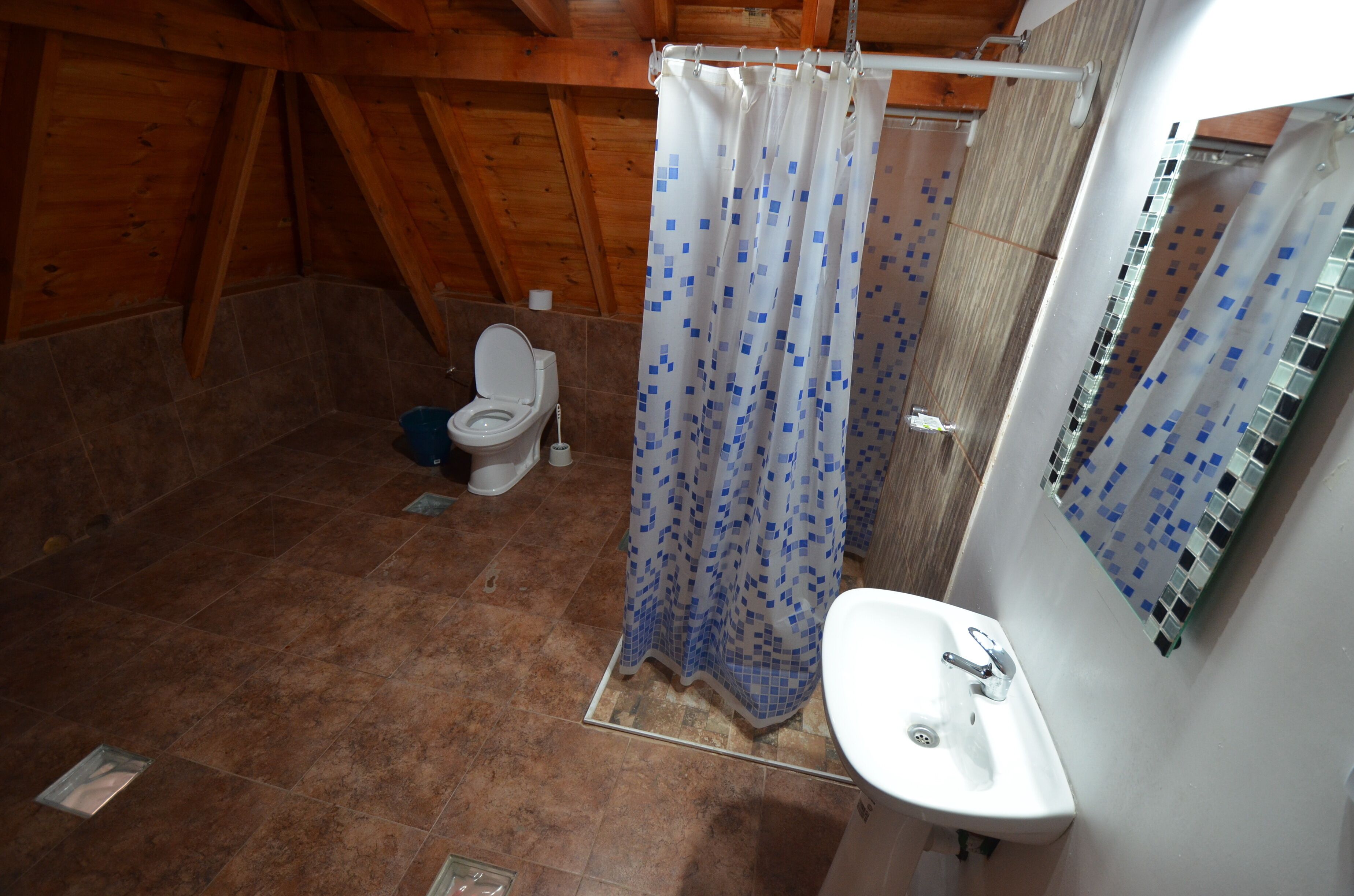 Un baño con cortina de ducha, inodoro y lavabo.