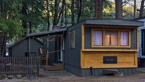 A cabin with a wooden front door, a small porch, and a sign that reads "OLIVE". - Modern Cabin (Olive) (Dunsmuir)