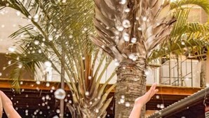 Una persona a la piscina amb palmeres i un edifici al fons.