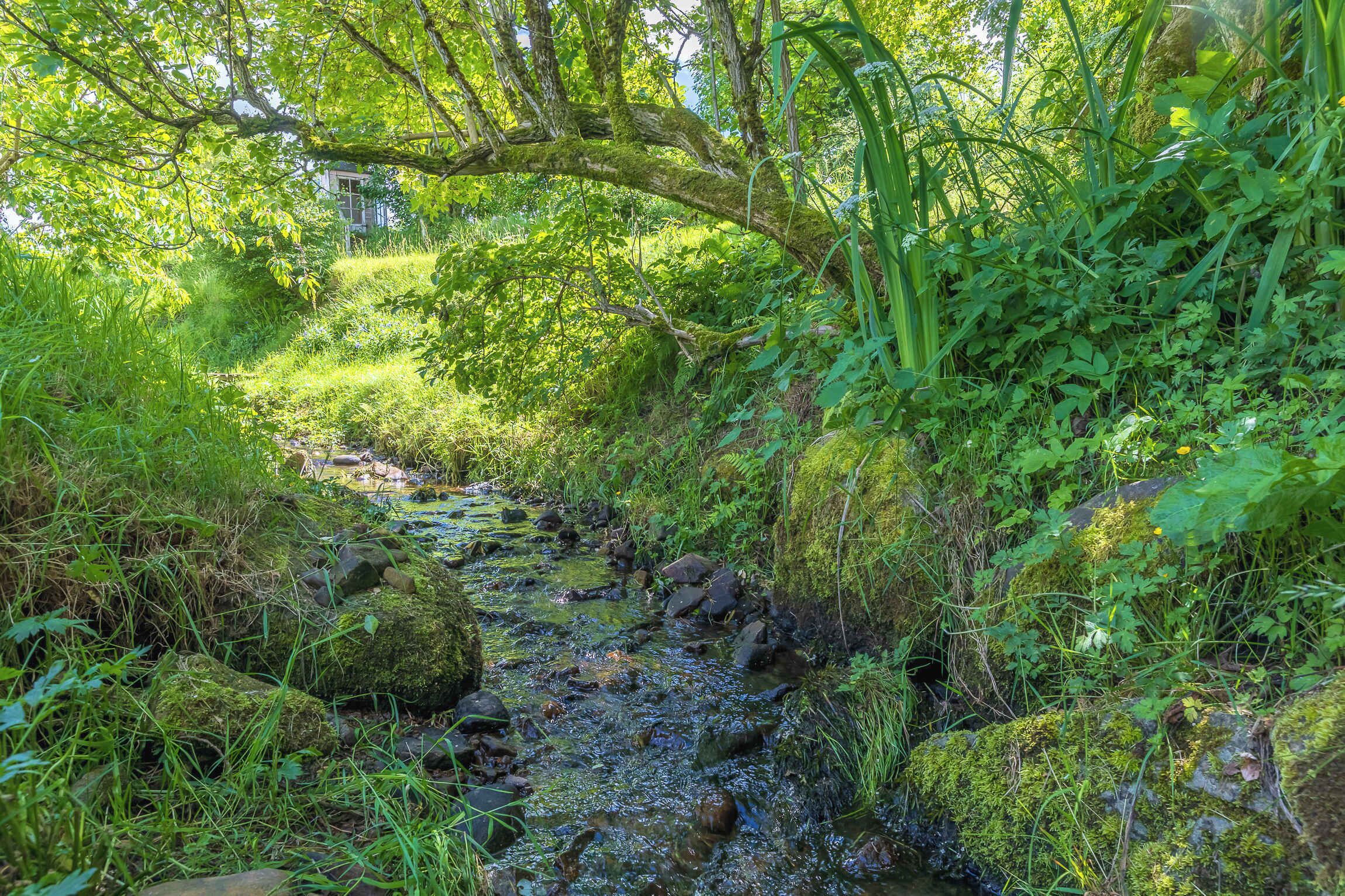 Parco della struttura