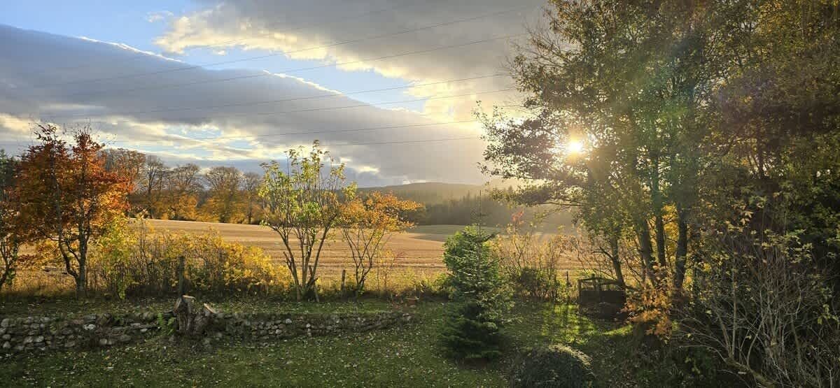 A rural landscape with a stone wall, trees, and a field.