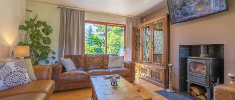 Smart TV, fireplace, offices