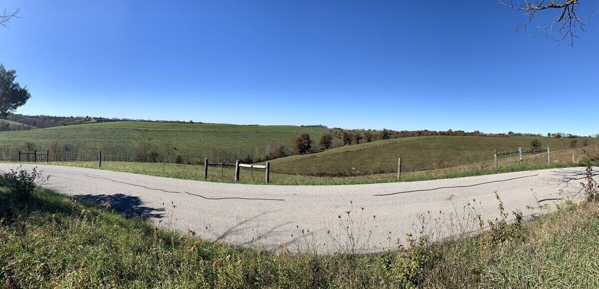 A rural road with a fork, surrounded by grassy fields and trees under a clear blue sky.