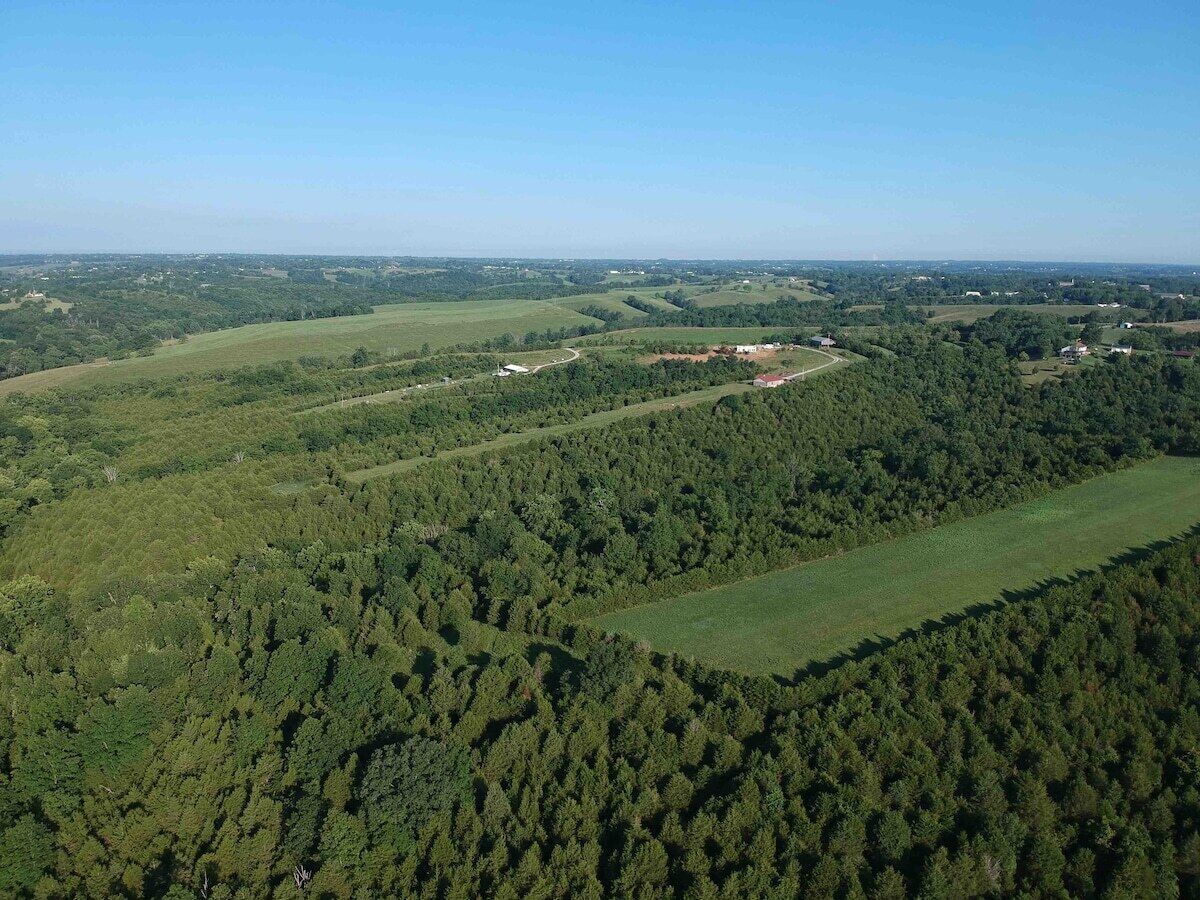 Luchtbeeld van een bebost gebied met open plekken en een klein gebouw.