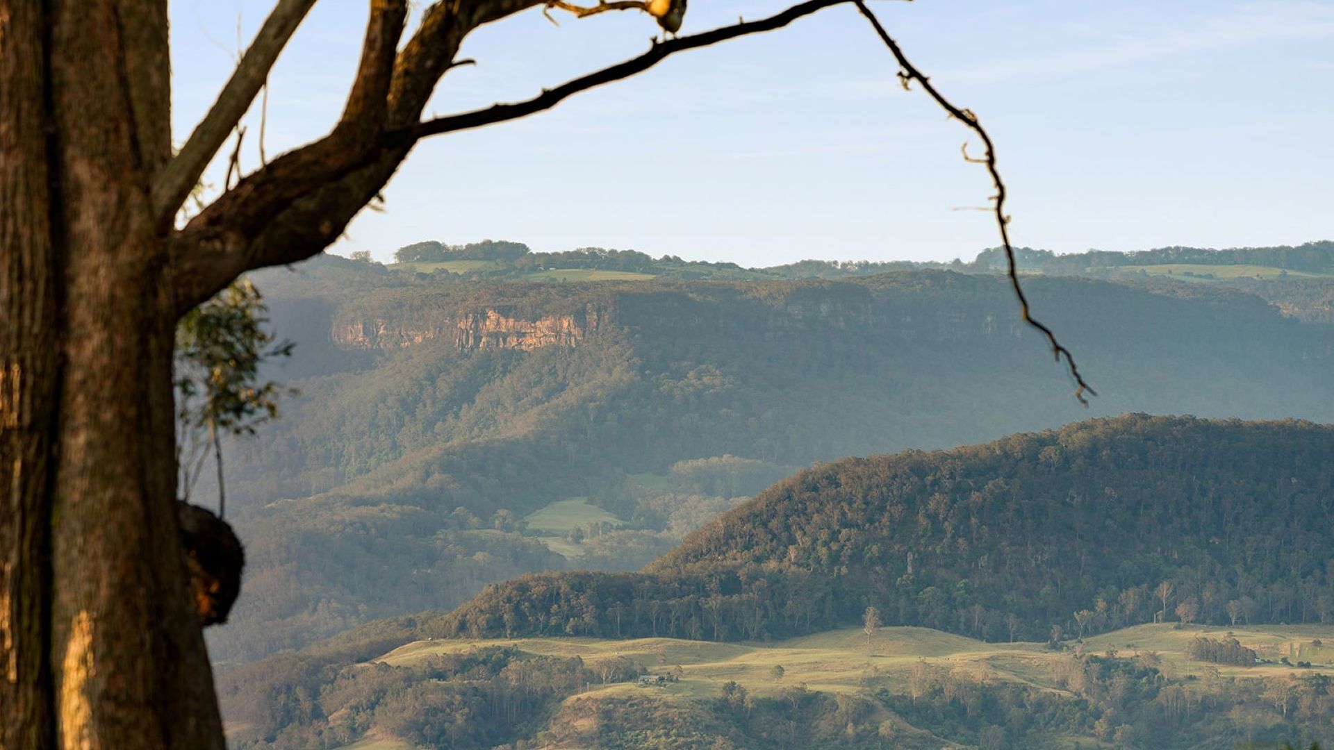 A mountainous landscape with a tree in the foreground.