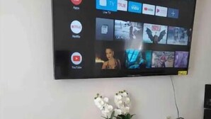 Un televisor de pantalla plana montado en la pared mostrando varios servicios de streaming. Debajo del televisor, hay un mueble de madera oscura con un control remoto y una pequeña planta.