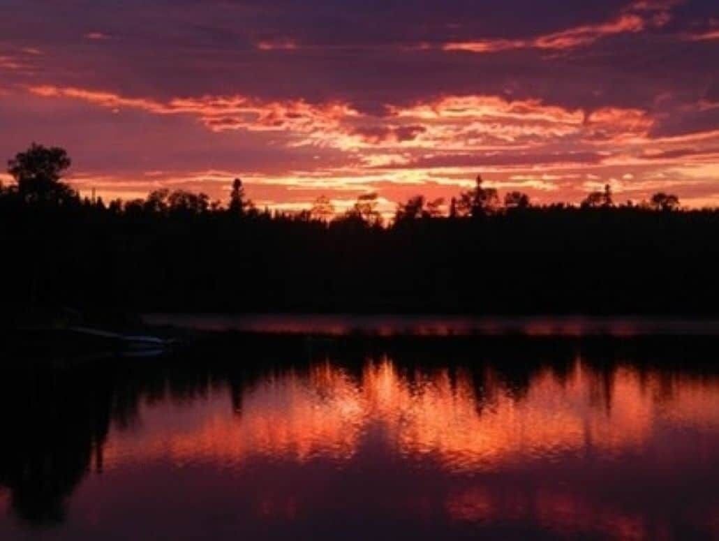 Un coucher de soleil sur une étendue d’eau, avec la silhouette d’arbres au premier plan.