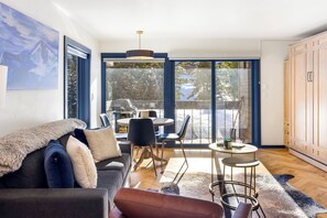 Smart TV, fireplace, books