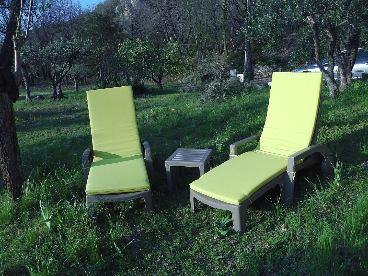 Two outdoor lounge chairs with cushions, a small table, and a grassy area with trees in the background.