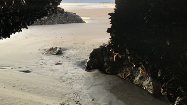 Escena de playa con una cueva que se abre al mar, una playa de arena y montañas a lo lejos.