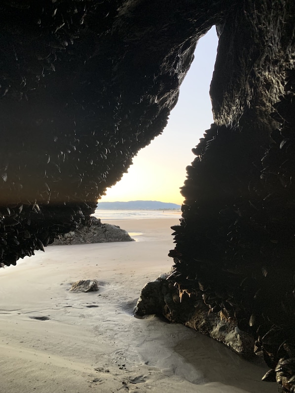 Chaises longues, serviettes de plage