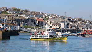 A ferry boat docked at a harbor with houses in the background. - Sailors (Falmouth)