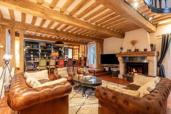 TV, fireplace, books