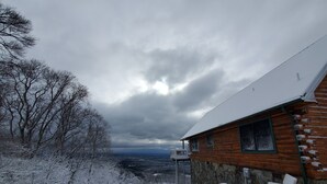 Een chalet met een stenen fundering en houten gevel, omgeven door met sneeuw bedekte bomen en een besneeerd landschap.