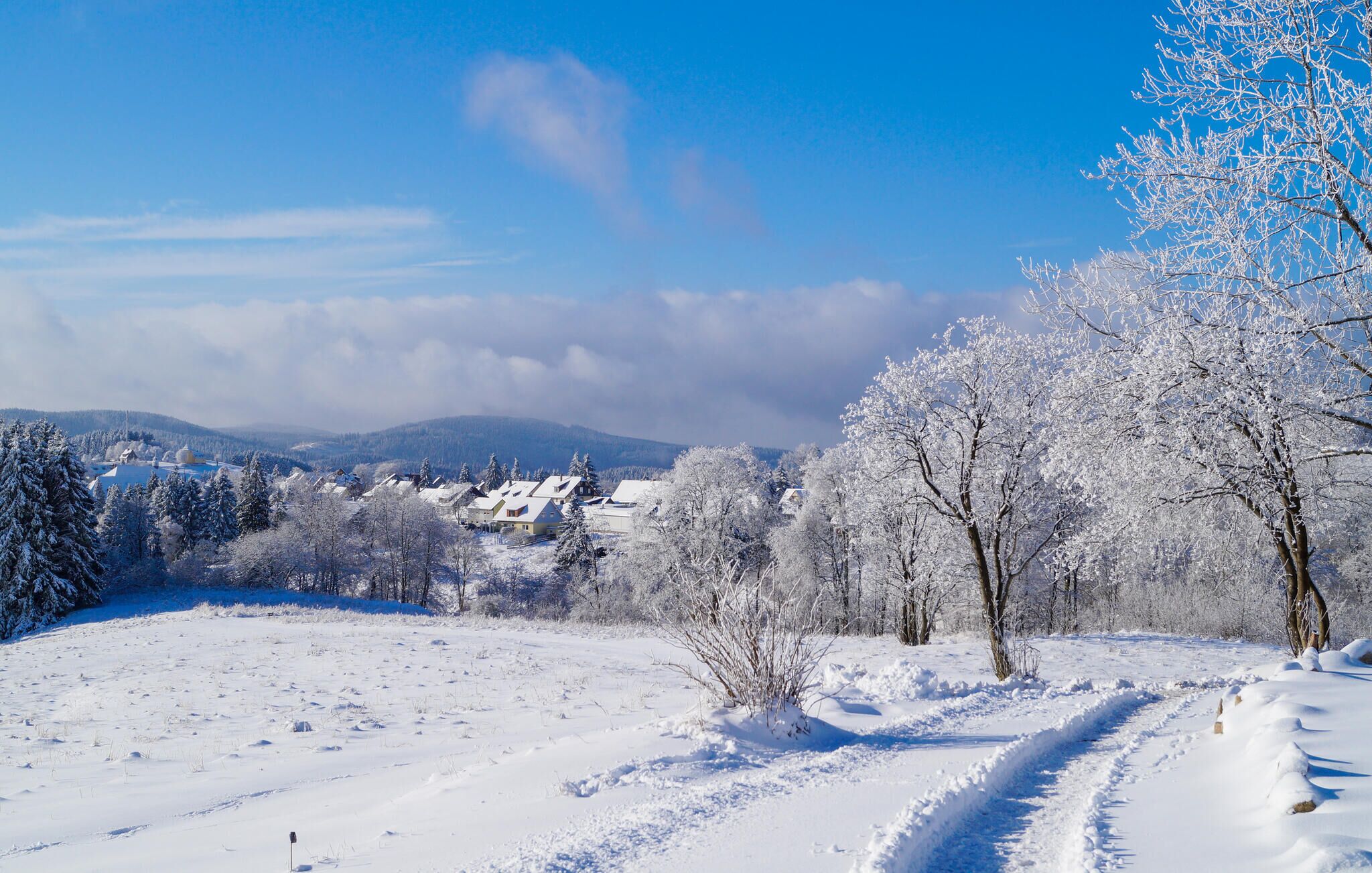 A snowy landscape with a clear sky, a path leading through the snow, and a village in the distance.