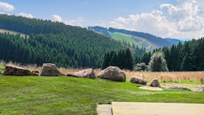 A grassy field with large rocks and a wooden deck. - Ferienhauspark Hasselfelde (Oberharz am Brocken)