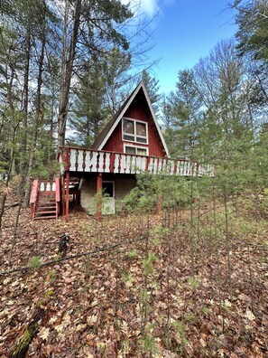 Exterior - The Toasty Chalet - minutes from Whiteface Mt! Dogs welcome! (Jay)