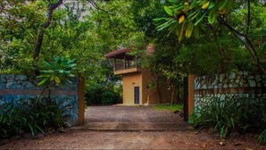 Un sentier qui mène à un petit bâtiment entouré d’une végétation luxuriante.