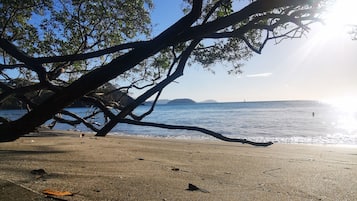 Pantai
