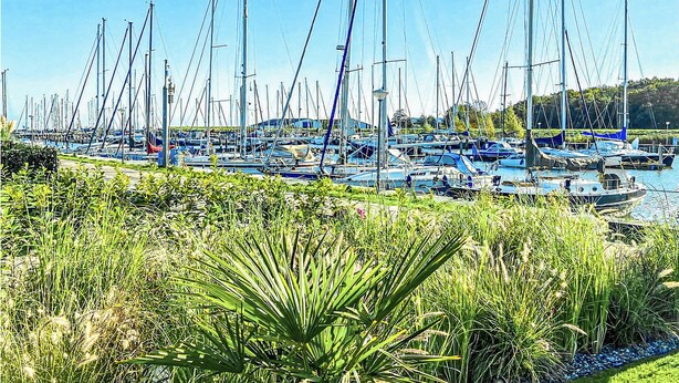 Un puerto deportivo con numerosos barcos amarrados.