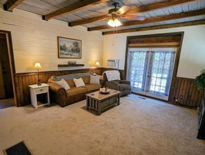 Smart TV, fireplace, books