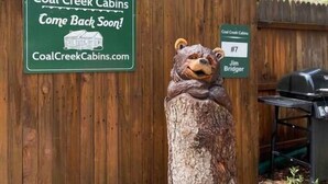 Una cerca de madera con un letrero de Coal Creek Cabins y una escultura de un oso.