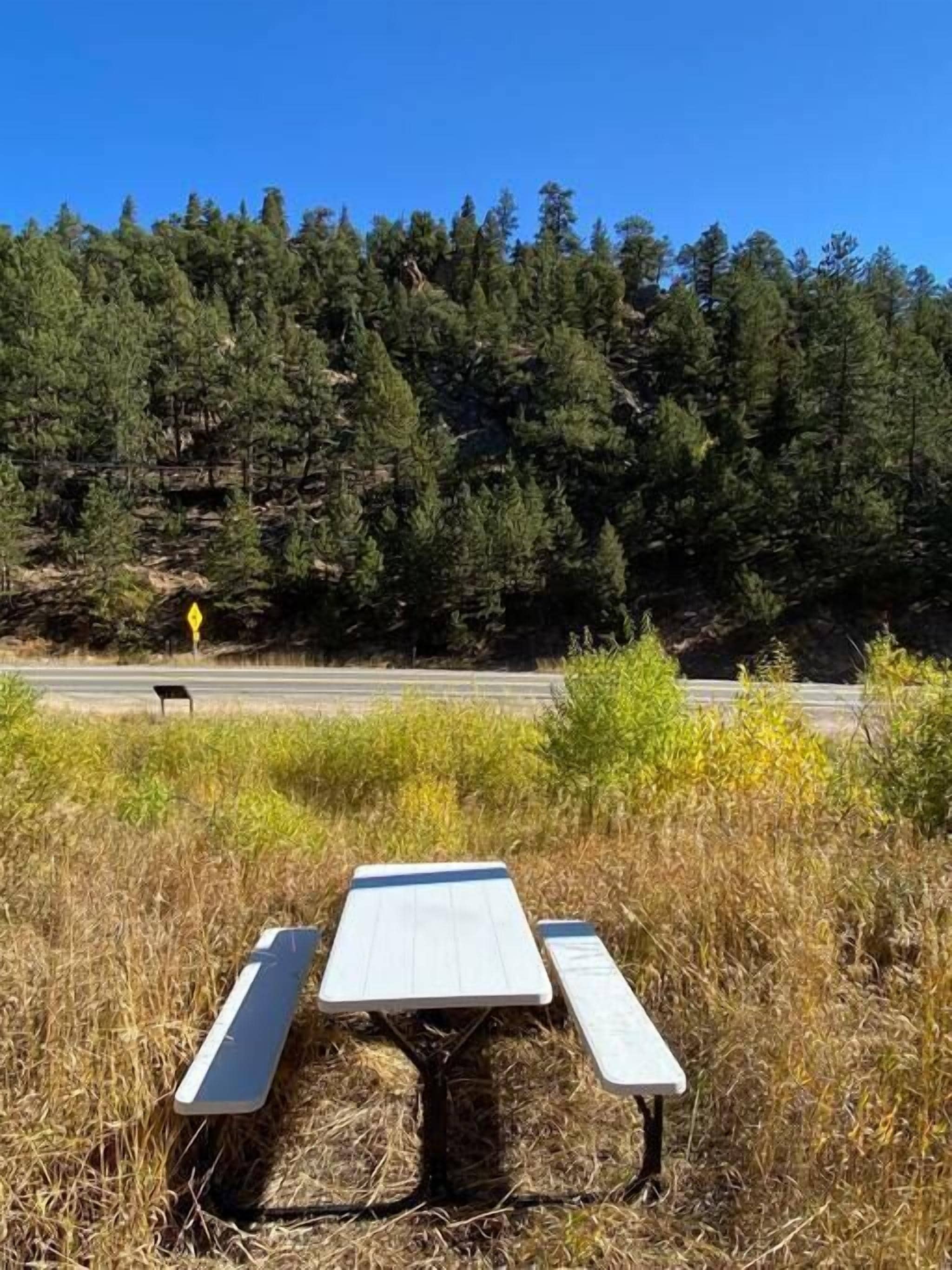 Un tavolo da picnic in una zona erbosa con una foresta sullo sfondo.
