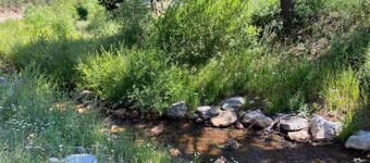 Dog-friendly John C Frémont Lodge on Coal Creek - Boulder/Golden