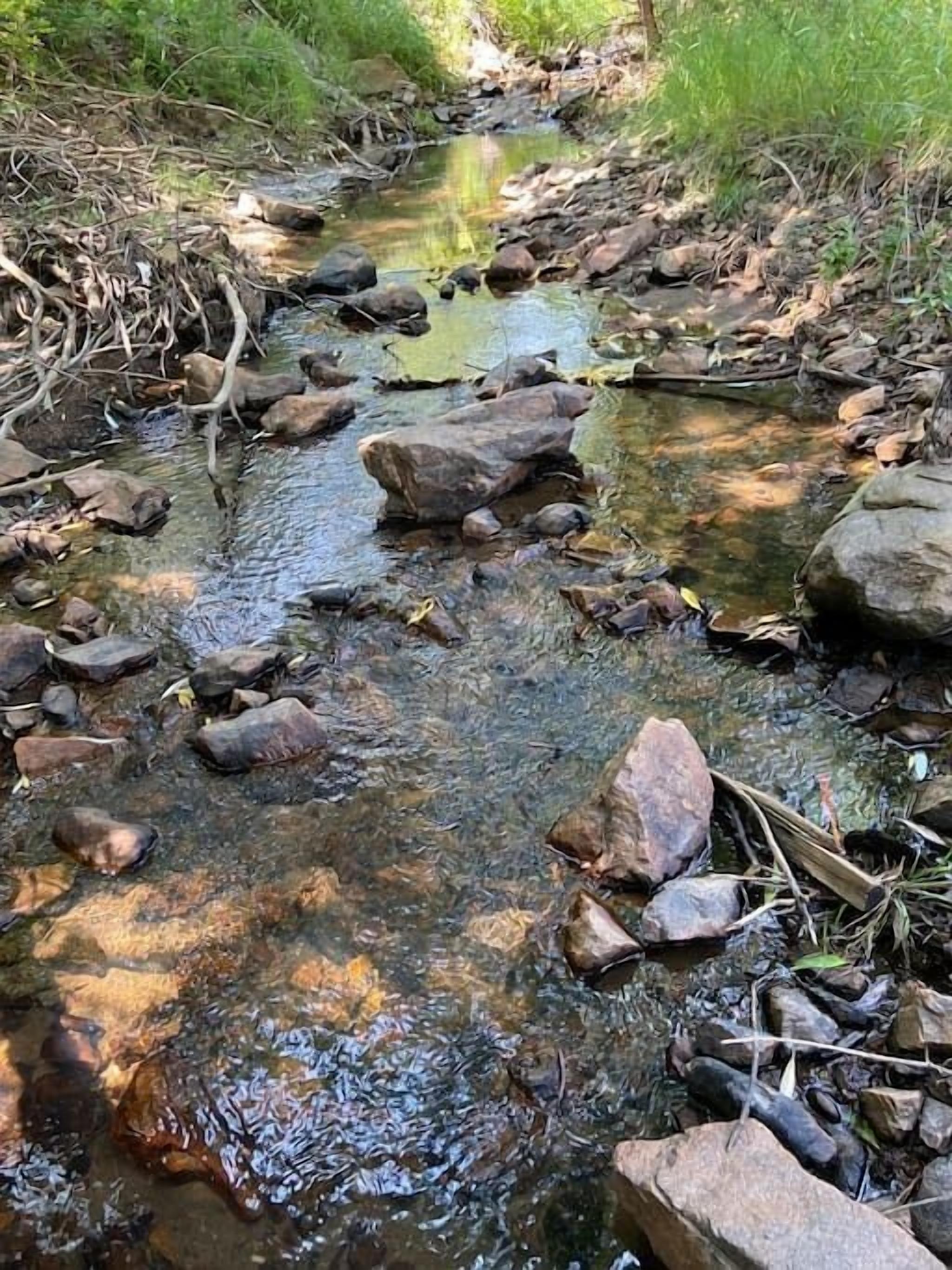 Un cours d’eau naturel, bordé de rochers et de végétation.
