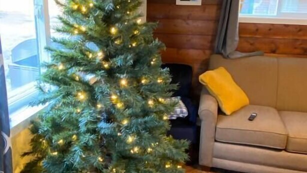 A cozy living room with a decorated Christmas tree, a sofa with a yellow pillow, and a wooden wall with a framed picture.