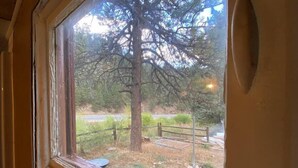 A window with a view of a fenced outdoor area, a tree, and a road in the background.