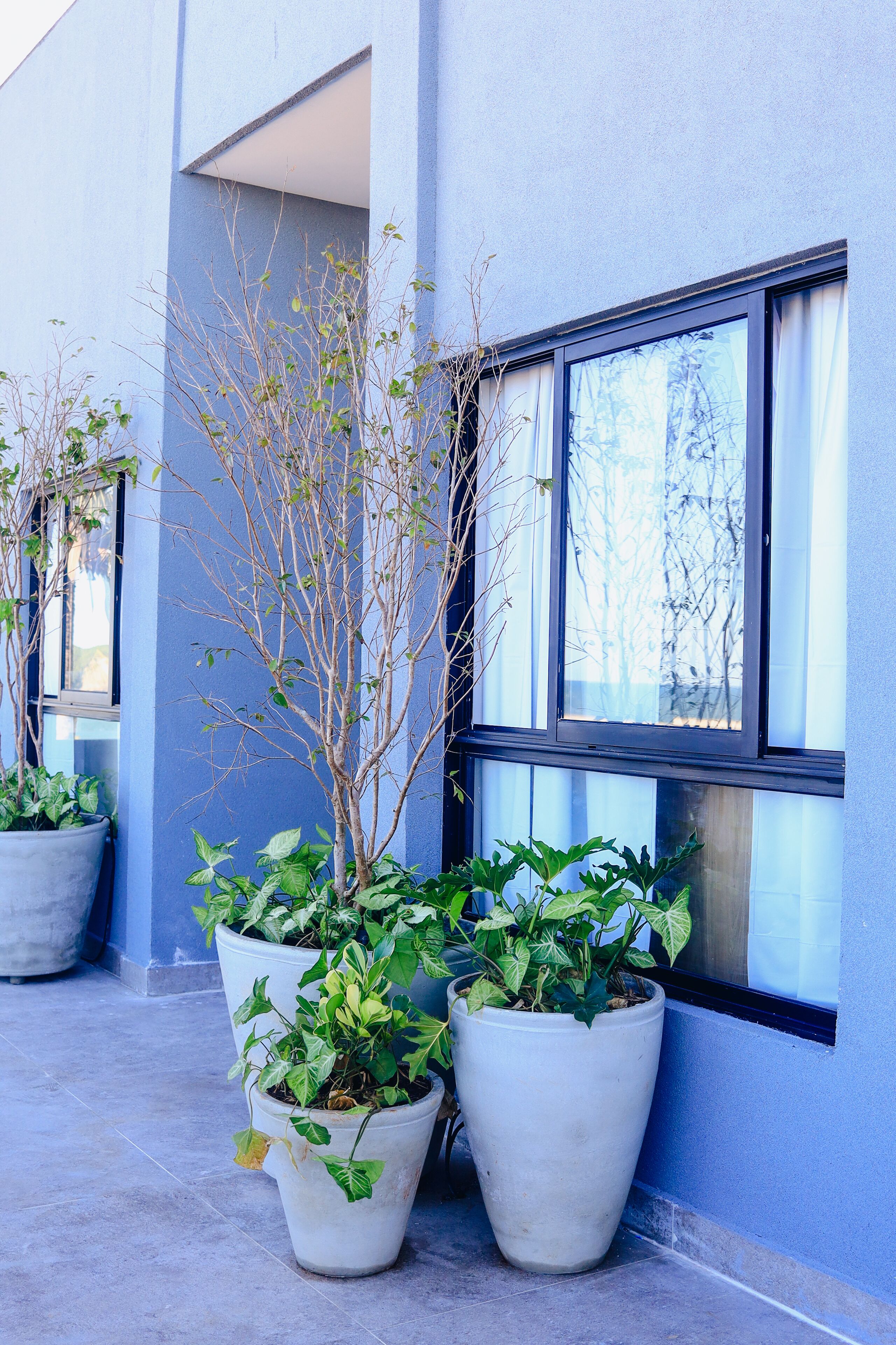 Foto - Liiv Hub - Natal PontaNegra