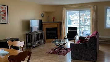 智能电视、壁炉