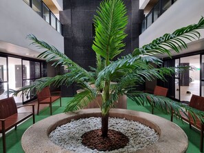 Jardim