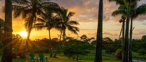 A sunset view with palm trees and a grassy area.