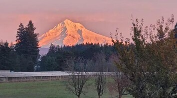 Image of Private country home, Mt. Hood view, hot tub, full kitchen, business class Wi-Fi