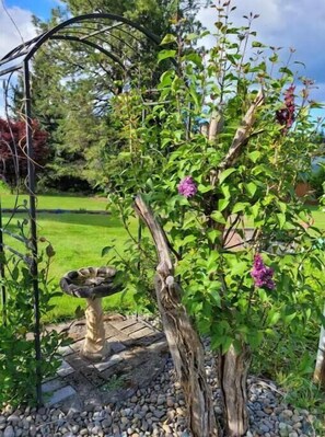 Property grounds - Private country home, Mt. Hood view, hot tub, full kitchen, business class Wi-Fi (Boring)