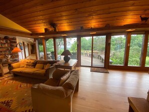 Smart TV, fireplace, DVD player, books